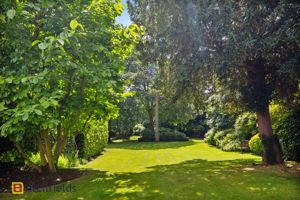 Photo 15- click for photo gallery